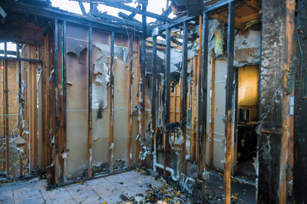 Professional Fire Damage Removal technician working in Bayou Vista, TX
